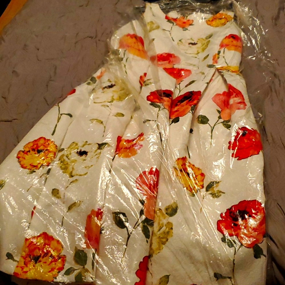 BRAND NEW FLORAL SPRING DRESS